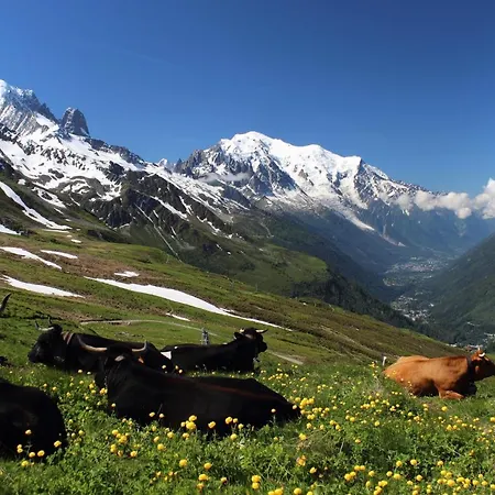 Aparthotel Pointe Des Aravis