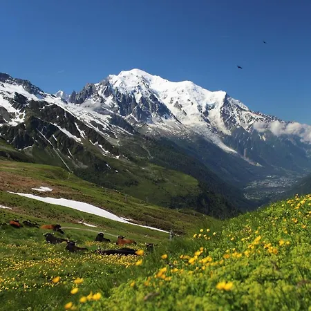 Pointe Des Aravis Aparthotel *